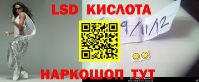 кокс Донской