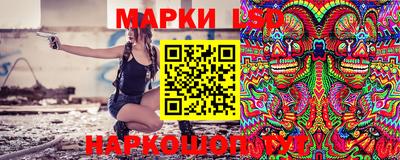 кокс Донской