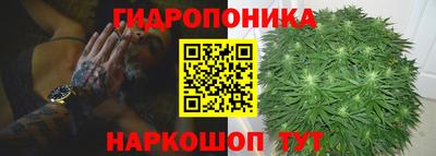 хмурый Дубна
