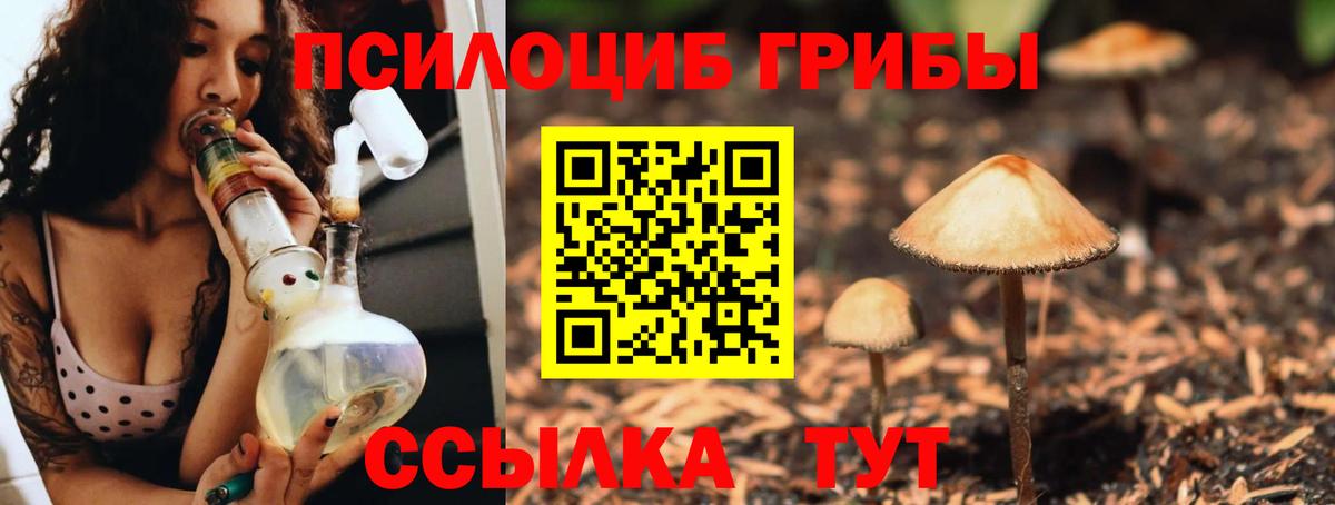 Галлюциногенные грибы прущие грибы Лесосибирск